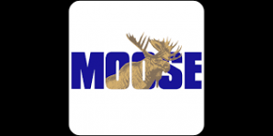 moose