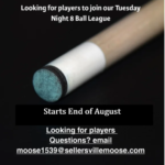 Looking for Pool Players – APA Tuesday Night League